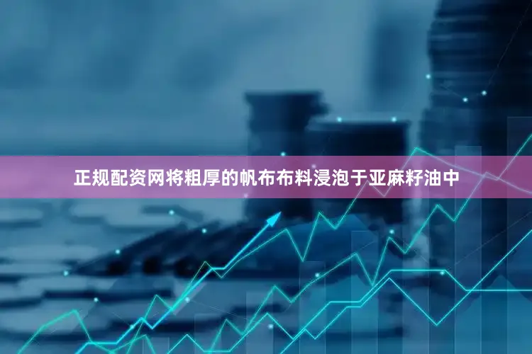 正规配资网将粗厚的帆布布料浸泡于亚麻籽油中