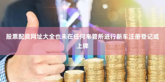 股票配资网址大全也未在任何车管所进行新车注册登记或上牌